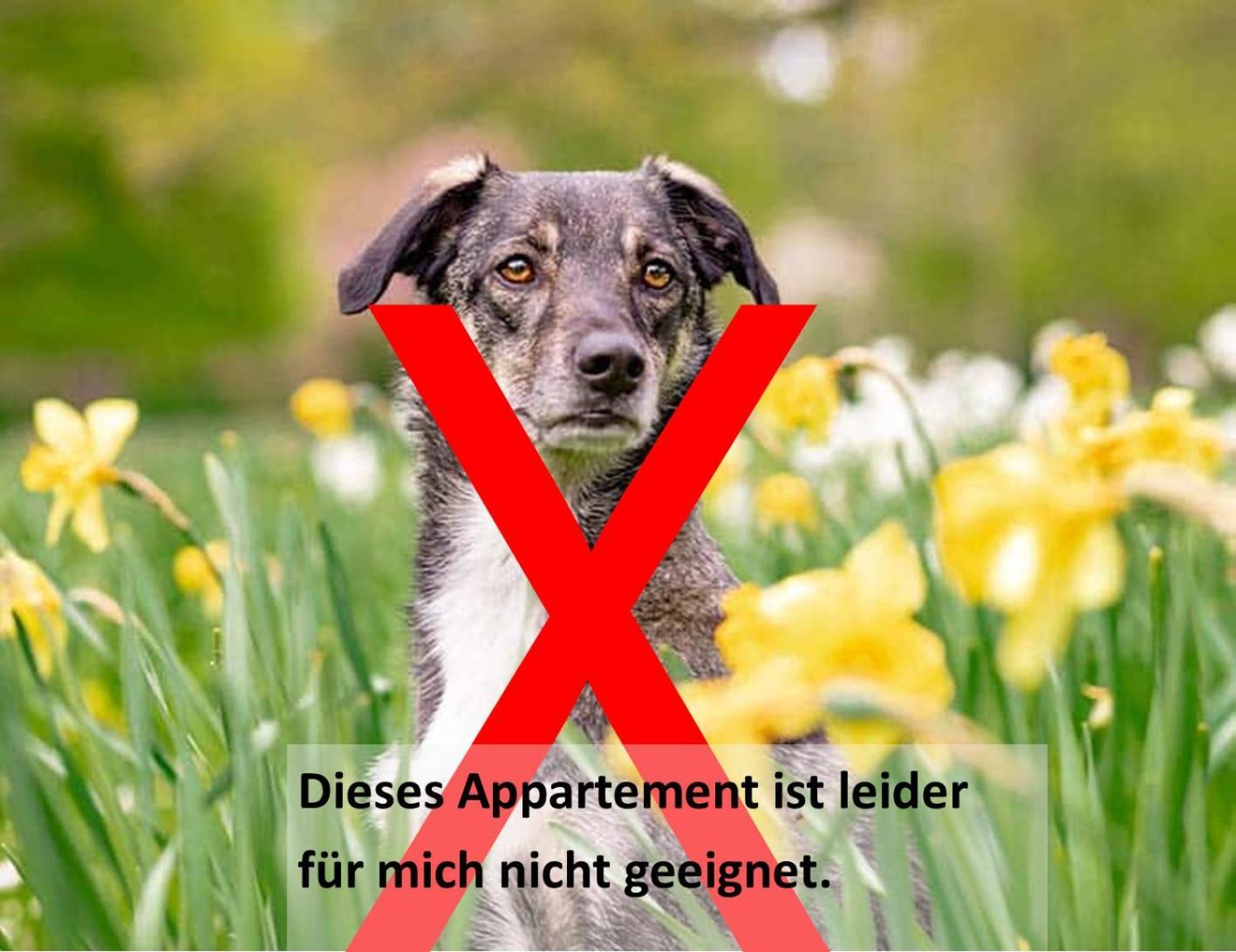 Gaestehaus Zehmerhof Bei Erding Walpertskirchen Esterno foto